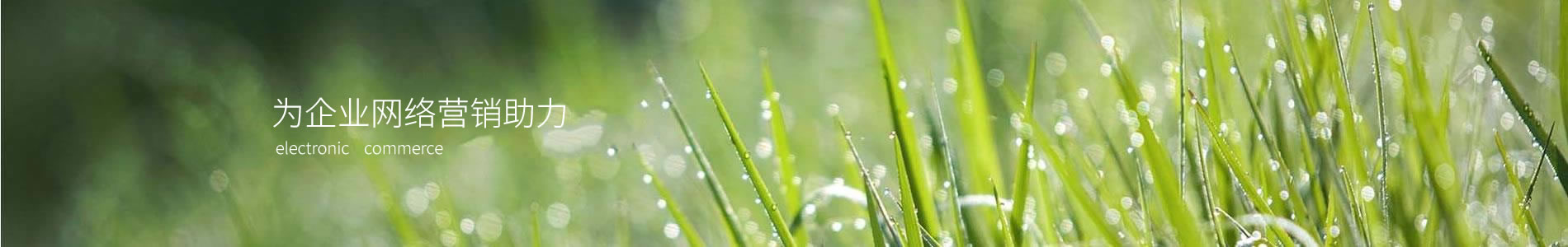 ൺҵ޹˾